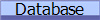Database